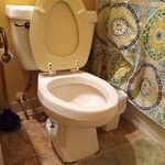 Regular Clean for toilet
