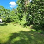 land clearing