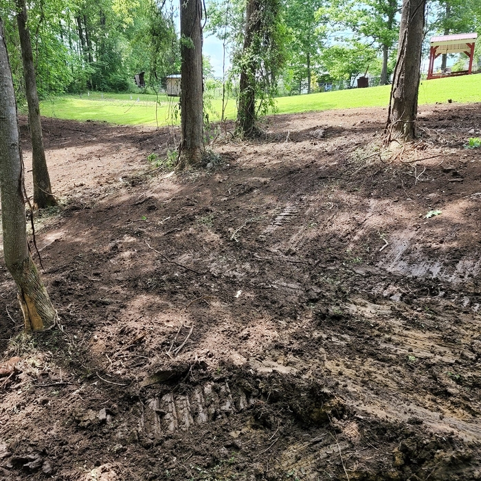 land clearing
