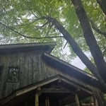 Dangerous trees