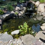 second pond