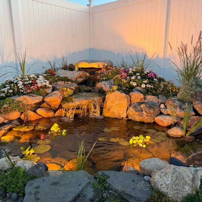 small pond build