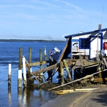 Disaster Claims