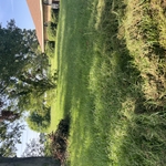 OBOYS LAWN SERVICE