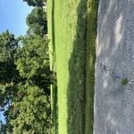 OBOYS LAWN SERVICE