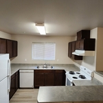 Apartment Move-out Kitchen Clean