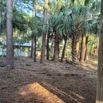 ALLIGATOR POINT AFTER