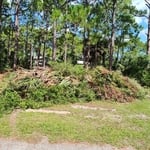 ALLIGATOR POINT