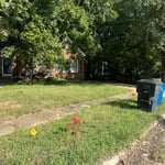 Residential Yard Clean Up