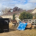 Yard Cleanup