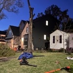 Tree removal