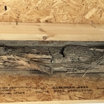 Termite Damage Repair