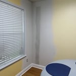 Termite Damge Repair