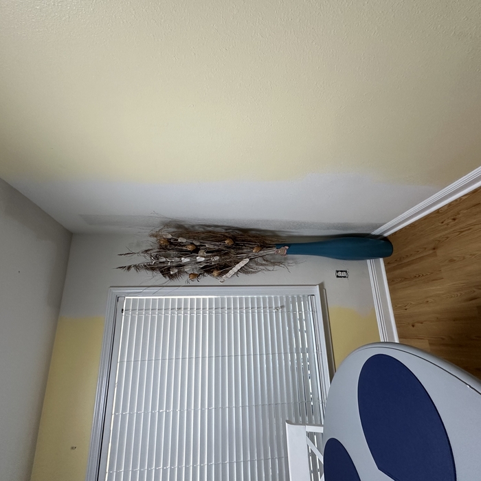 Termite damage repair