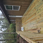Grading and Tree work