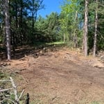 First few stumps removed