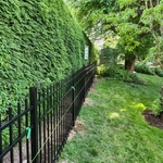 Aluminum Ornamental