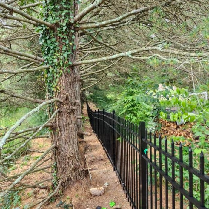 Aluminum Ornamental