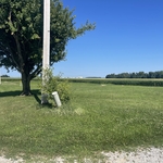Lawn
