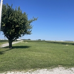 Lawn 2
