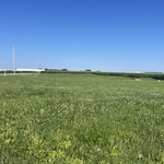 Lawn 3