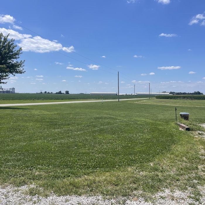 Lawn 5