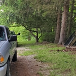 Driveway trimming
