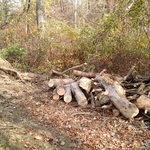 Storm damage after