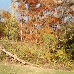 Storm damage before