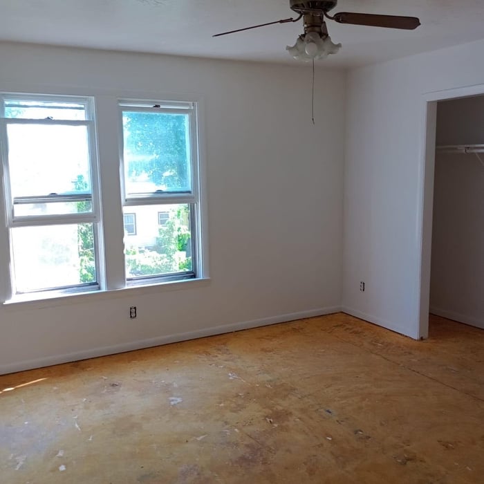 Painting & Floor