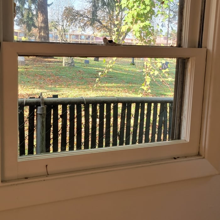 Broken single pane