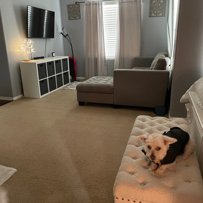 Ready for Renting