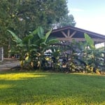 Pergola