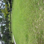 Maintenance and Mowing