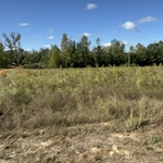 Overgrowth before completion.