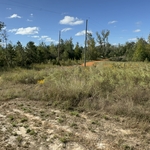 Overgrowth before completion.