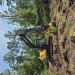 Land clearing