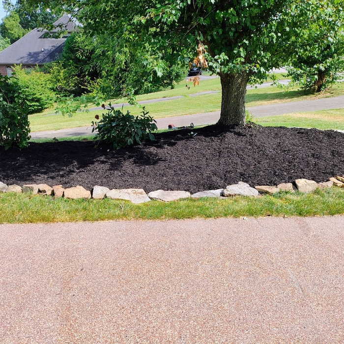 Sabo landscaping project