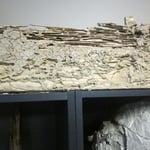 termite damage