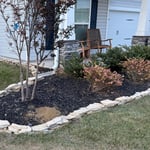 Rock Garden