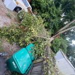 Cleanup