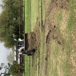 Starting the project
