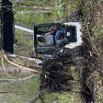Land Clearing