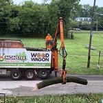 Bucks and Mont Tree Work