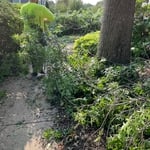 Bucks and Mont Tree Work