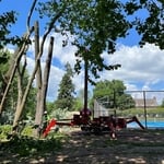 Bucks and Mont Tree Work