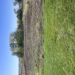 alton project