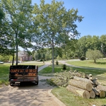 tree loads