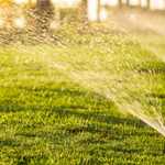 Lawn Care
