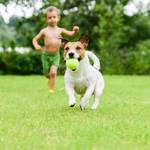 Lawn Care
